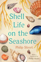 Shell Life on the Seashore Paperback